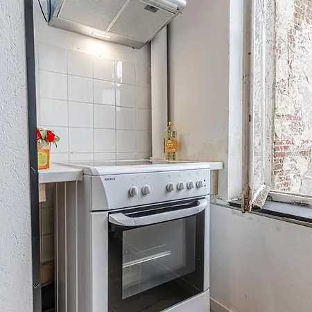Apartment Beautiful Serenity Stylish Shared At Ghent's Ghent